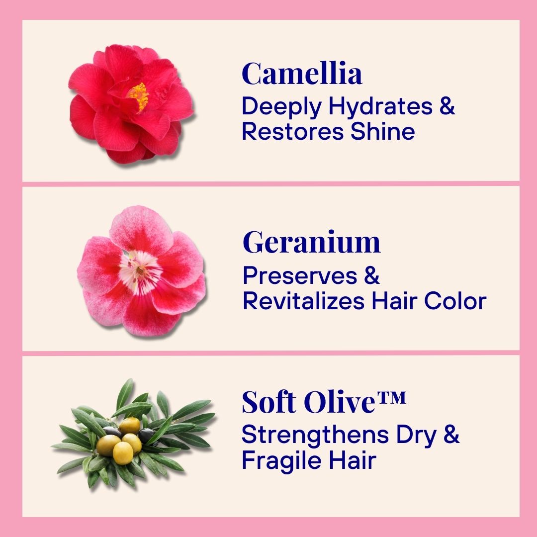 Hydrating Powder Shampoo (70g)