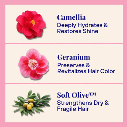 Hydrating Powder Shampoo (70g)